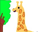 o girafa