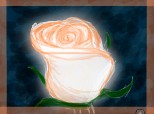 a magic rose...