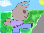 ninja rabbit