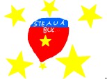 Emblema stelei