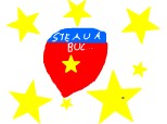 Emblema stelei cu steaua