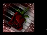piano and the rose...