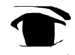 sasuke eye