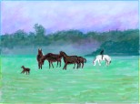 peisaj cu cai
