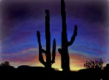 Desert,cactusi....peisaj