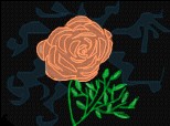 trandafir_de_foc
