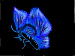Blue butterfly(ok nu este chiar asha albastru)