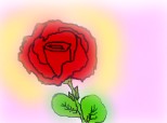 trandafirul 1