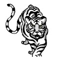 Desen 2442 modificat:tigru