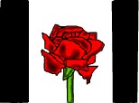 un trandafir