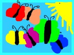 fluturi colorati