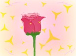 trandafirul roz