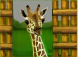 o girafa in savana