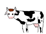 o vaca