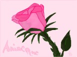 Anime rose