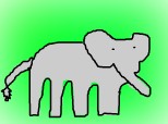 un elefant