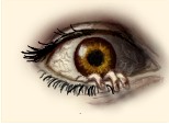 the eye:)