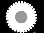 Floare alb-neagra