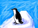 un pinguin