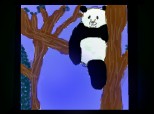 panda in copac