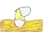 puisorul abia iesit din ou:X