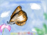 butterfly^^