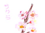 Sakura(incercare)