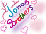 I love joans brothers.... so much and a boy