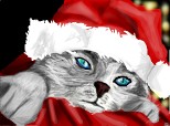 christmas kitten^^