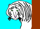 tigrul alb