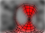 web spider-man