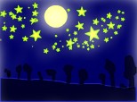 Noapte de stele