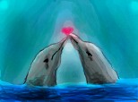love intre delphini