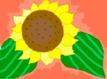 Desen 59228 continuat:floarea soarelui