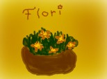 florile galbene