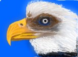 Desen 109320 continuat:cap de vultur