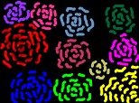 trandafiri colorati
