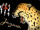 jaguar pentru hairielis si teodorika