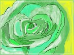 un trandafir verde