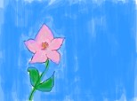 a pink flower...o floare si un zambet cald...la fel ca si primavara ce o asteptam