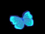 fluturele albastru