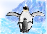 pinguini imperiali