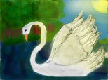 Swan(lebada;)))