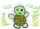 i love turtle.....