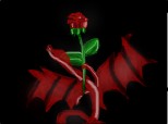 red rose:x:x