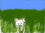 o pisicuta dragalasa prin iarba