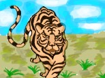 Desen 2442 modificat:tigrutzul