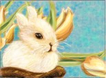 Cute baby bunny! Mustaciosul :))