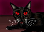Demon Cat..... >:)
