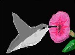 colibri(neterminat)
